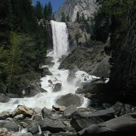 Yosemite Falls rushing over boulders among dark trees