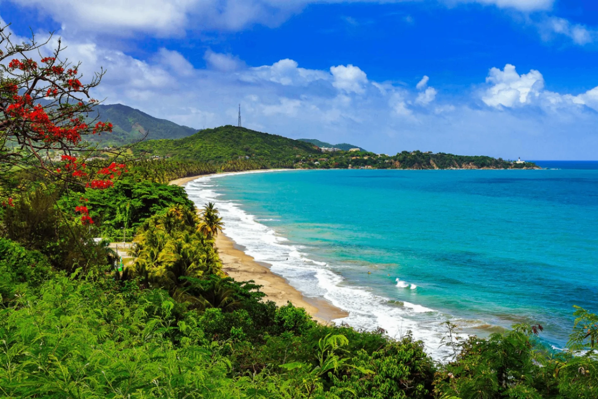 Curved golden-sand beach with vivid turquoise water and white surf, a lush green headland with red blossom branches, blue sky, and mountains behind