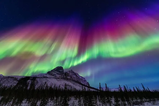 Vivid green, pink, and purple Northern Lights over Alaska, filling the page as a background